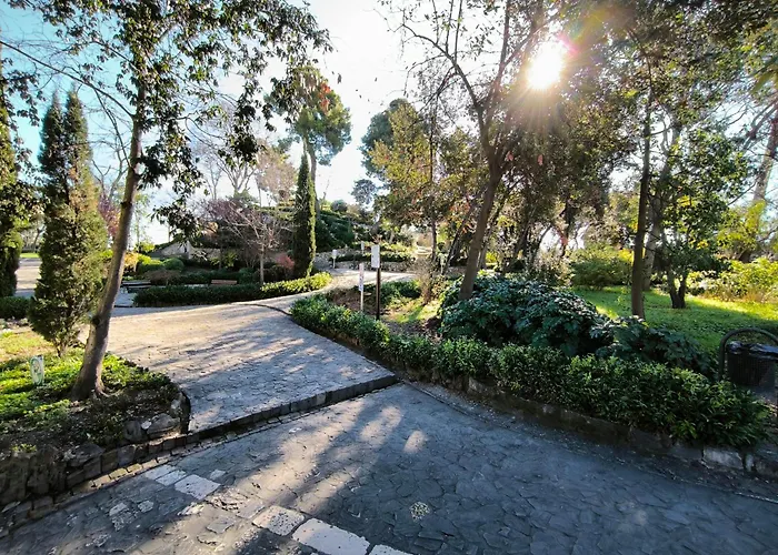 Apartman Studio Ana *